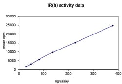 Eurofins DiscoverX Insulin Receptor Protein, Active 250 &mu;g | Buy Online | Eurofins DiscoverX | Fisher Scientific